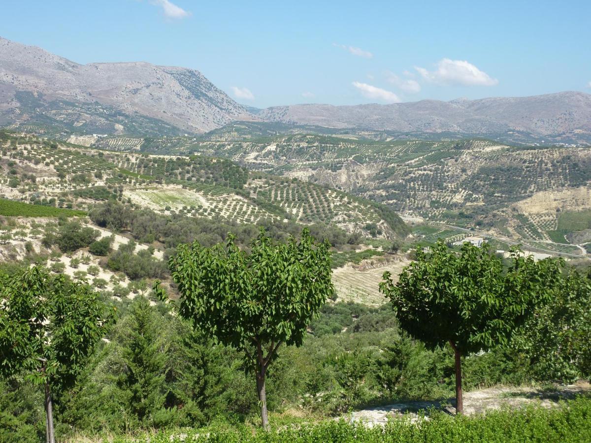 Entire Independent Maisonette Near Heraklion Pottery Classes Petrokefalo Екстер'єр фото